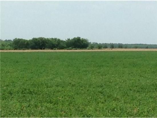 1 CR 1051, Leonard, TX 75423
